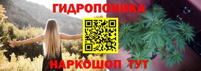 прущие грибы Кимры