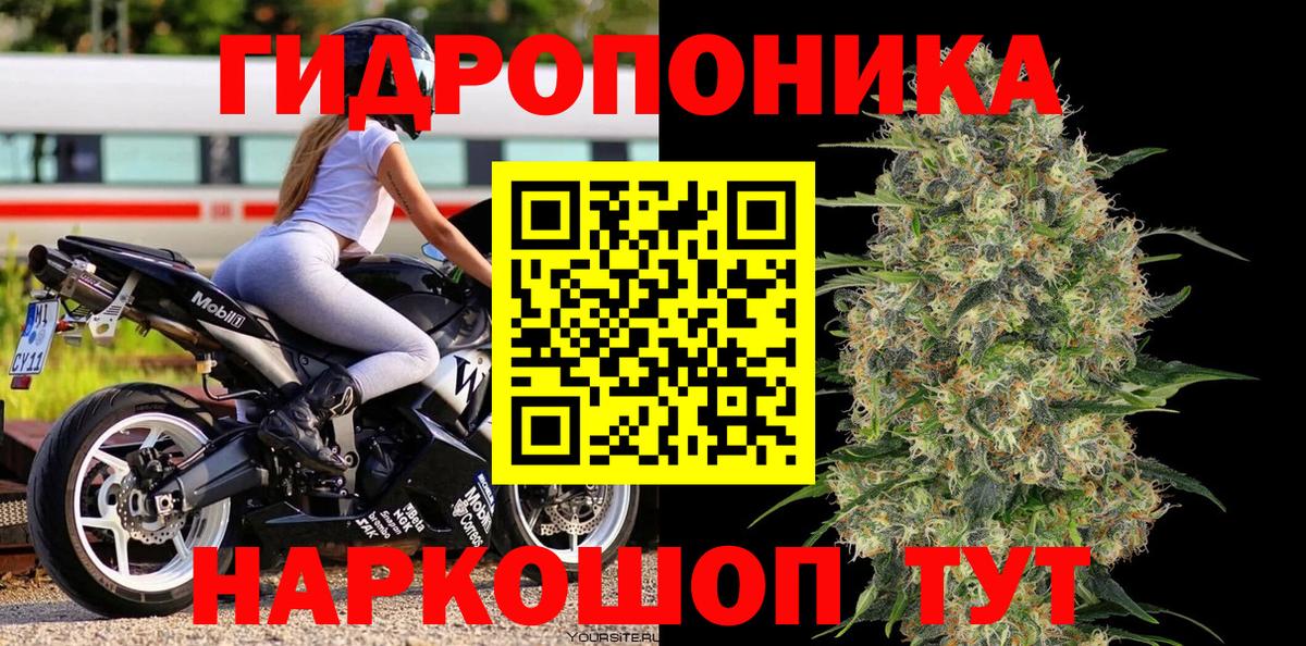 Шишки марихуана сатива Кострома